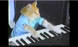 Keyboard Cat Keyboard Cat